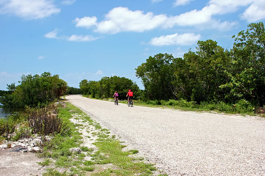 bigstock-Bicycling-20453093