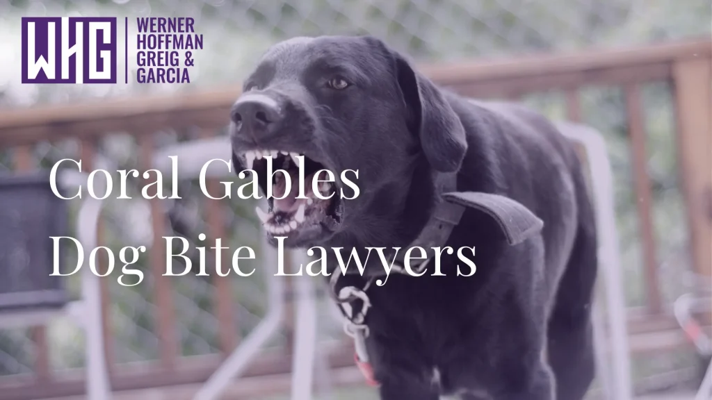 Coral Gables Dog Bite Lawyers Image
